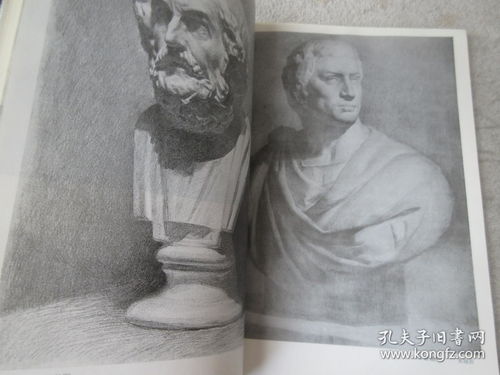 素描 工藝美術(shù)設(shè)計(jì)專業(yè)的基石與創(chuàng)新源泉